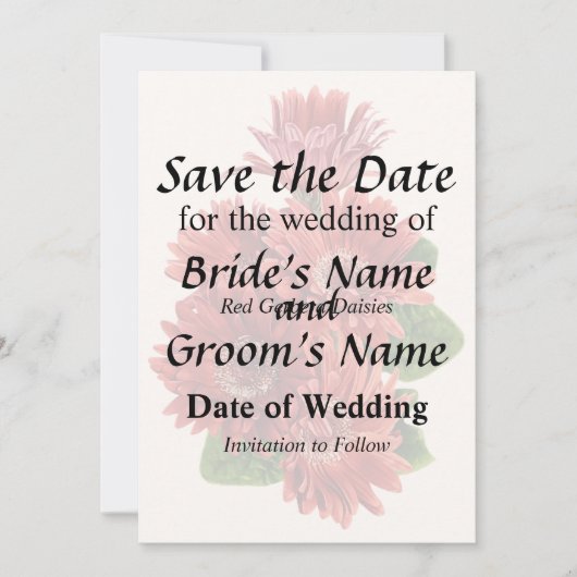 Red Gerbera Daisies セーブザデート (正面)