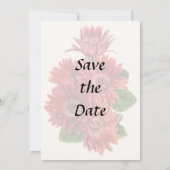 Red Gerbera Daisies セーブザデート (裏面)