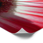 Red Gerberas Poster、S Cyr ポスター (角)