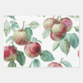 Red Green Apple Fruit Pattern Watercolor Rustic  ラッピングペーパーシート (正面3)