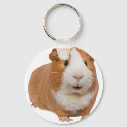red guinea pig キーホルダー (正面)