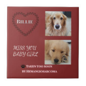 Red Halo Pet Remembrance  タイル (正面)