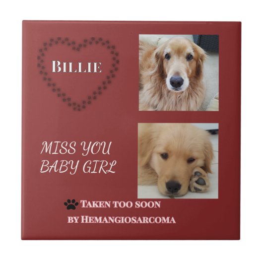 Red Halo Pet Remembrance タイル (正面)