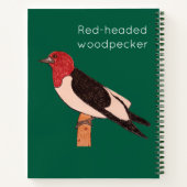 Red-headed woodpecker ノートブック (裏面)
