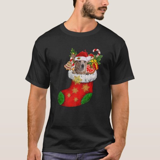 RED Heeler In Sock Christmas Santa Hat Christmas D Tシャツ (正面)