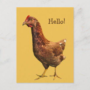 Red Hen Chickenポストカードからこんにちは ポストカード