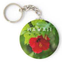 Red Hibiscus Hawaii Tropical Flower