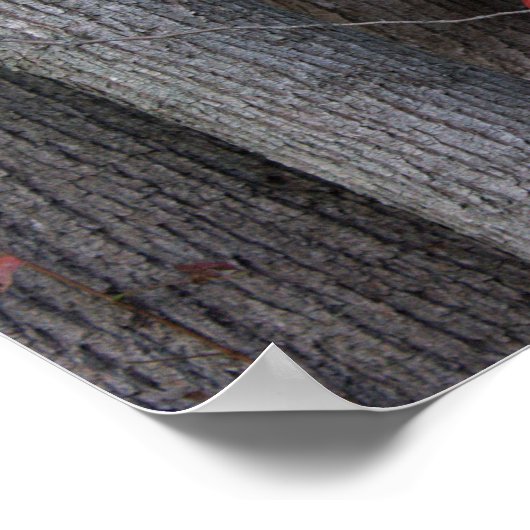 Red Ivy on Treeポスター ポスター (角)