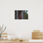 Red Ivy on Treeポスター ポスター (キッチン)