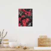 Red Japanese Maple Leaf Shadows ポスター (キッチン)