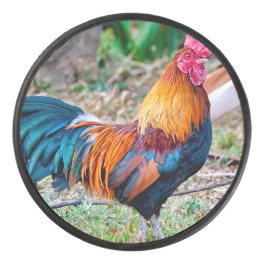 Red junglefowl アイスホッケーパック (正面)