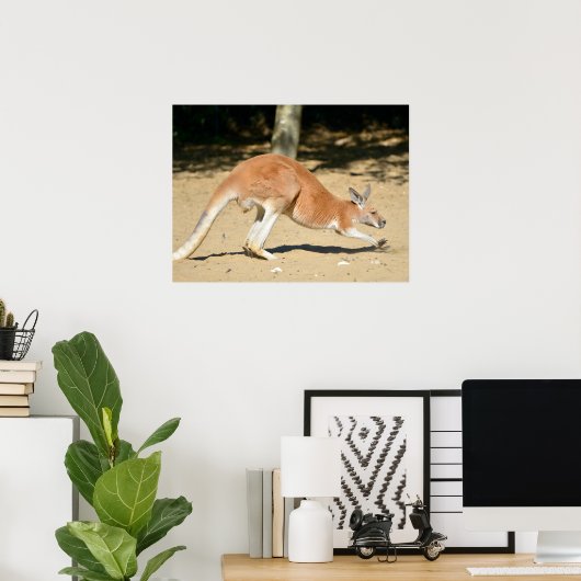 Red kangaroo on sand holiday ポスター (ホームオフィス)