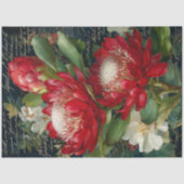 Red King Protea Flower Decoupage 薄葉紙 (正面)