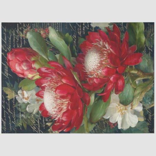 Red King Protea Flower Decoupage 薄葉紙 (正面)