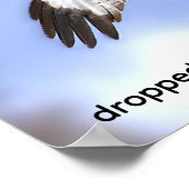 Red Kite drops food ポスター (角)