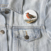 Red Knot by Audubon, Sandpiper Birdwatcher, Bird 缶バッジ (インサイチュ)