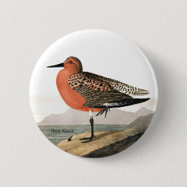 Red Knot by Audubon, Sandpiper Birdwatcher, Bird 缶バッジ