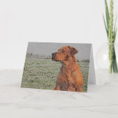 Red Lab Greeting Card カード (正面)