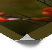 Red Leaves and Branches Poster ポスター (角)