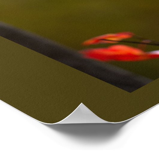 Red Leaves and Branches Poster ポスター (角)