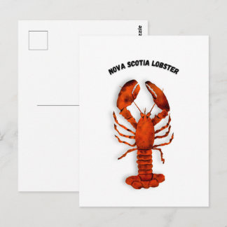 Red Lobster Postcard ポストカード