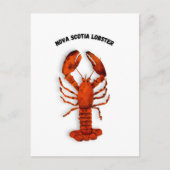 Red Lobster Postcard ポストカード (正面)
