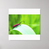 Red Longicorn Beetle and green background キャンバスプリント (正面)
