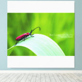 Red Longicorn Beetle and green background キャンバスプリント (インサイチュ (ウッドフロア))