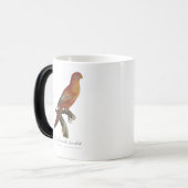 Red Lory or Eos Bornea, Trichoglossus borneus モーフィングマグカップ (正面左)