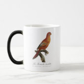 Red Lory or Eos Bornea, Trichoglossus borneus モーフィングマグカップ (左)