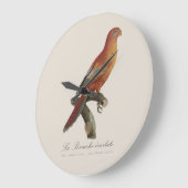 Red Lory or Eos Bornea, Trichoglossus borneus ラージ壁時計 (傾斜)