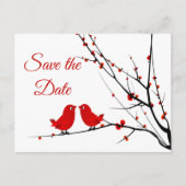 Red Lovebirds Spring Summer Save the Date 案内ポストカード (正面)