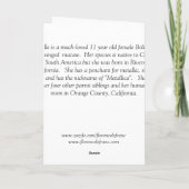 Red Macawカードfor any大事な行事 カード (裏面)