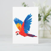 Red Macaw 招待状 (スタンド正面)