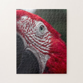 Red Macaw - HDフォトパズル ジグソーパズル