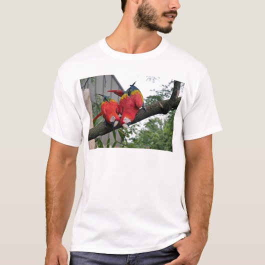 Red Macaws 1.JPG Tシャツ (正面)