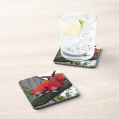 Red Macaws 2.JPG コースター (右側)