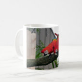 Red Macaws 2.JPG コーヒーマグカップ (正面左)