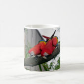 Red Macaws 2.JPG コーヒーマグカップ (中央)