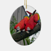 Red Macaws 2.JPG セラミックオーナメント (右)