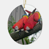 Red Macaws 2.JPG セラミックオーナメント (左)