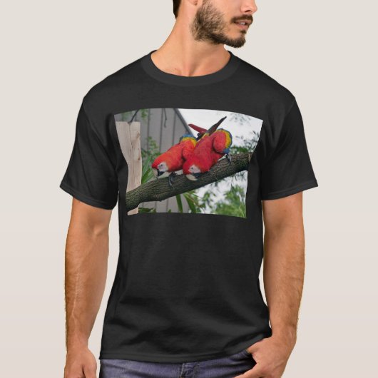 Red Macaws 2.JPG Tシャツ (正面)