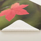 Red Maple Leaf自然写真 シェルパブランケット (3/4)