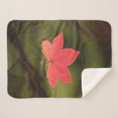 Red Maple Leaf自然写真 シェルパブランケット (正面(横))