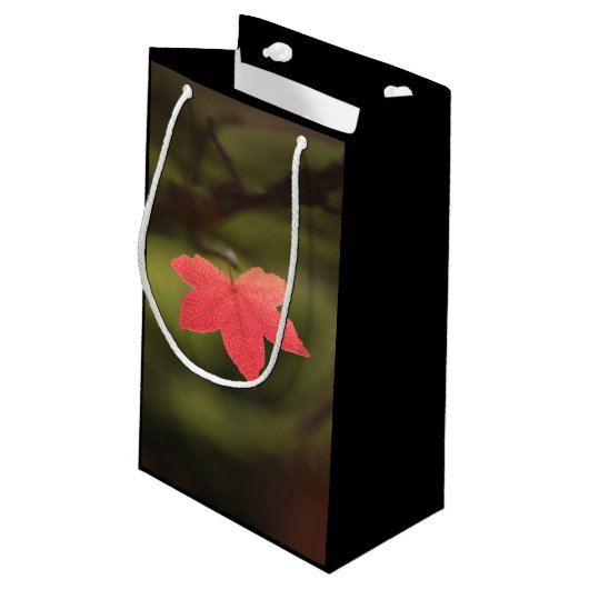 Red Maple Leaf自然写真 スモールペーパーバッグ (裏面アングル)