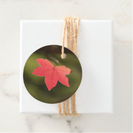 Red Maple Leaf自然写真 フェイバータグ