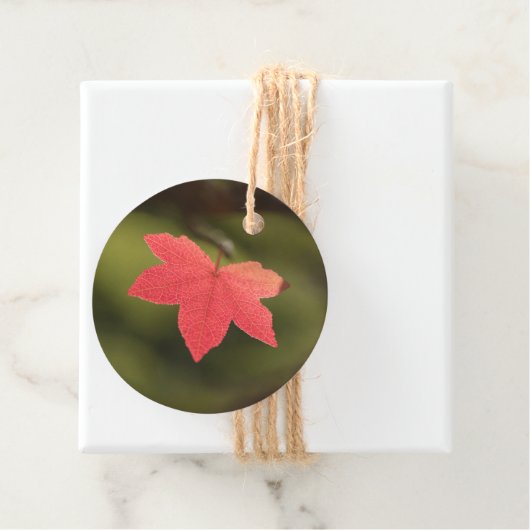 Red Maple Leaf自然写真 フェイバータグ (インサイチュ)