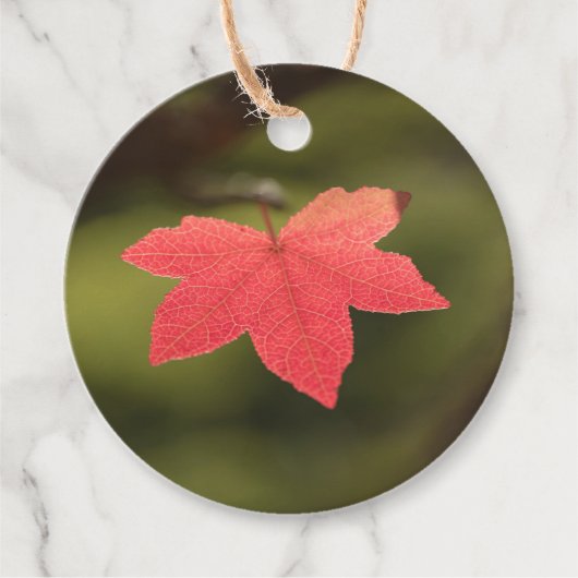 Red Maple Leaf自然写真 フェイバータグ (正面)