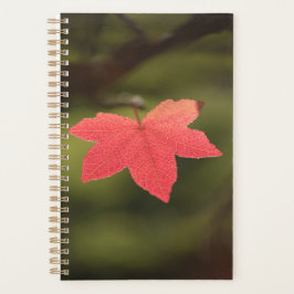 Red Maple Leaf自然写真 プランナー手帳