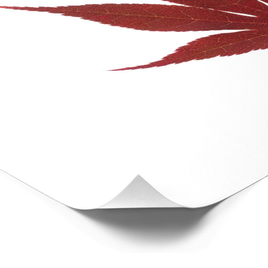 Red Maple Leaf フォトプリント (角)